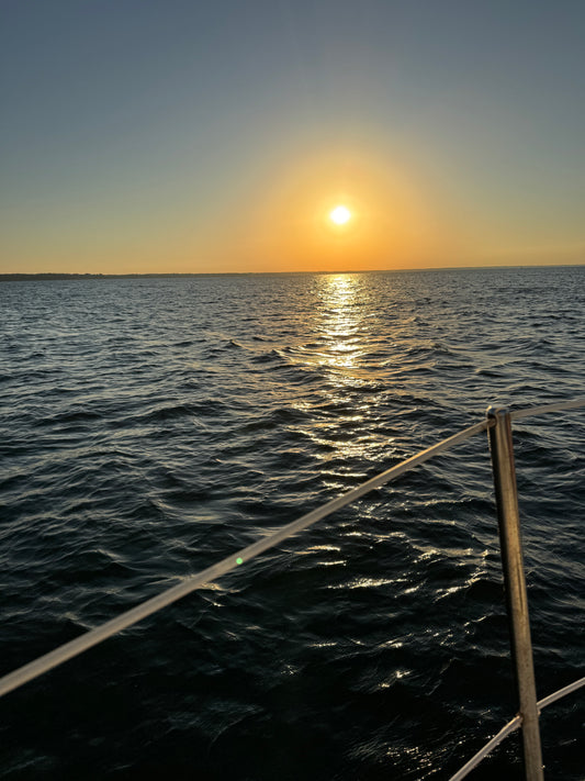 Test Product for Iron