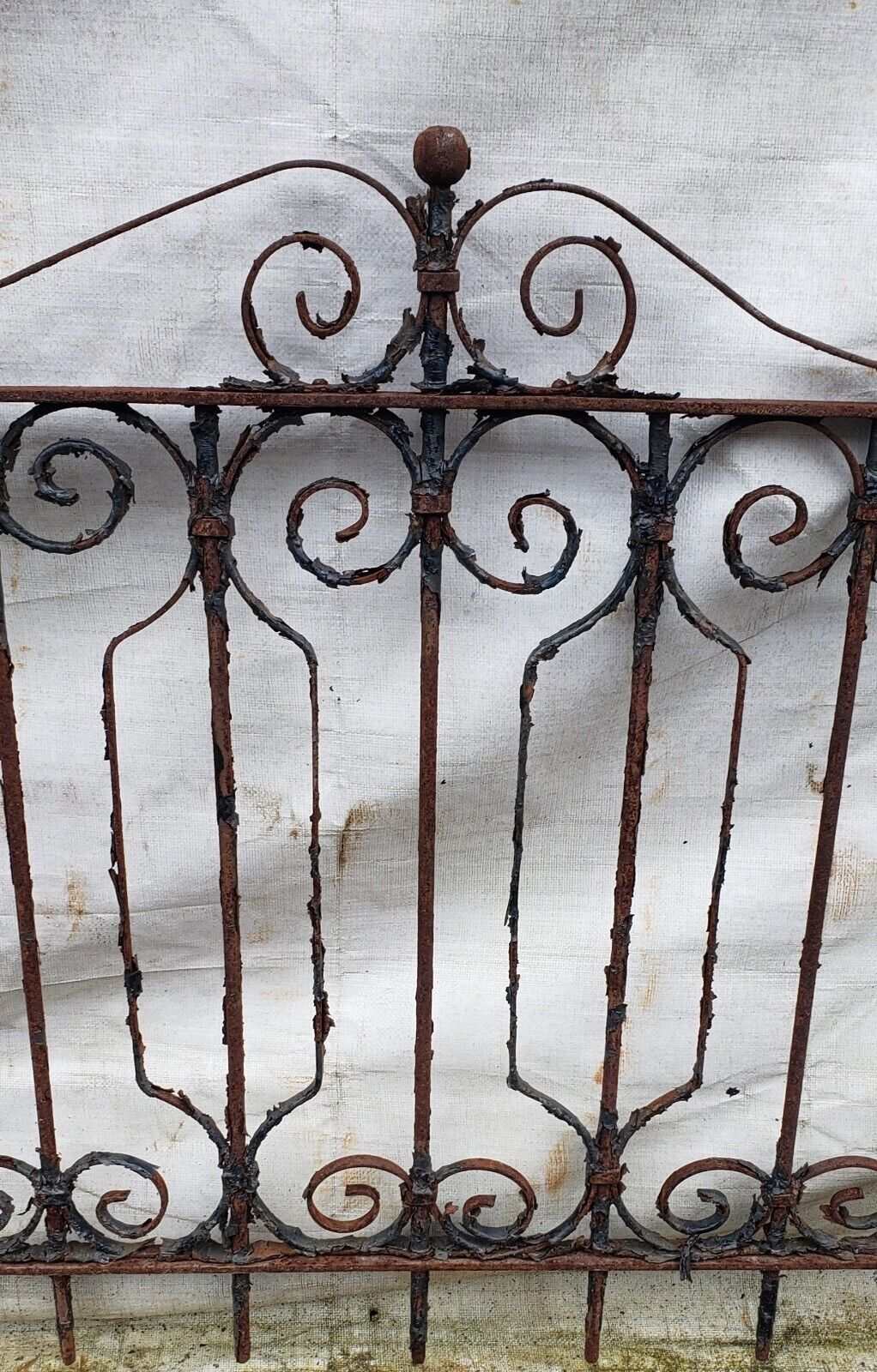 Ornate Wrought Iron Yard or Garden Gate 58 1/4" W by 31" Tall GA9580