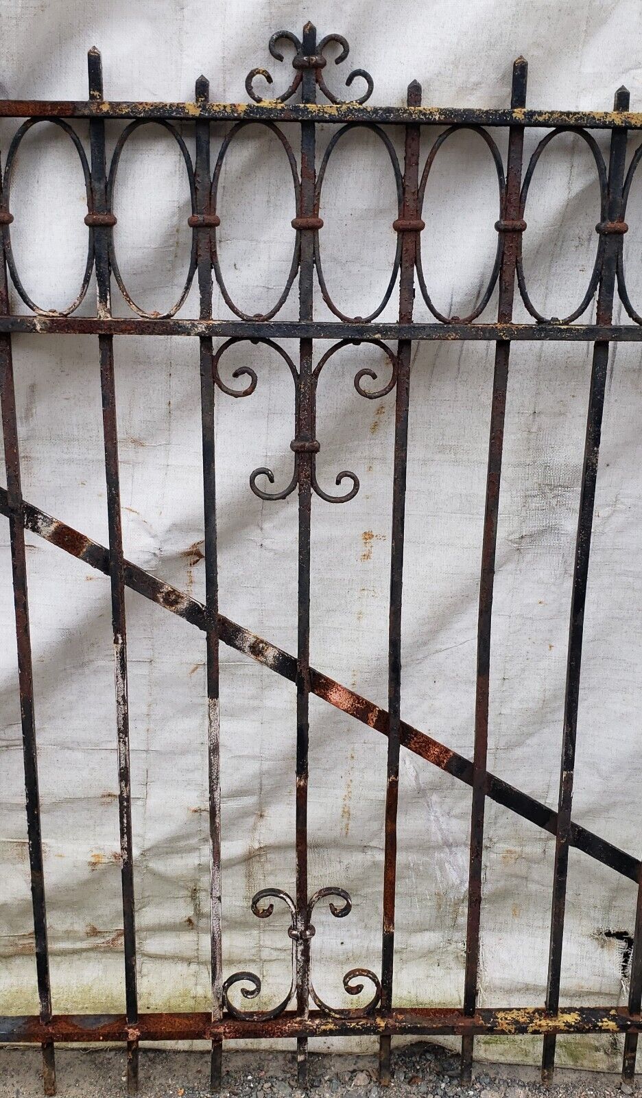 Pair of Ornate Wrought Iron Gates 110 1/2” Wide x 49 1/2" Tall GA9478
