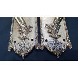 Pair of Large Solid Brass Art Nouveau Door Pull Plates With Mortise Lock and Deadbolts #GA1091