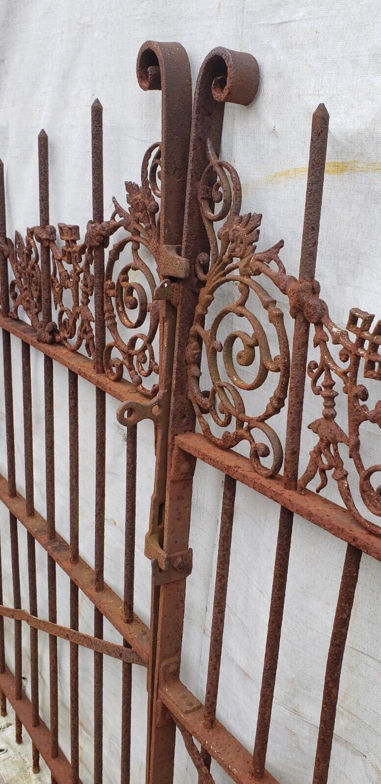 Pair of Ornate Wrought Iron Gates 44 1/2" x 58" GA9477