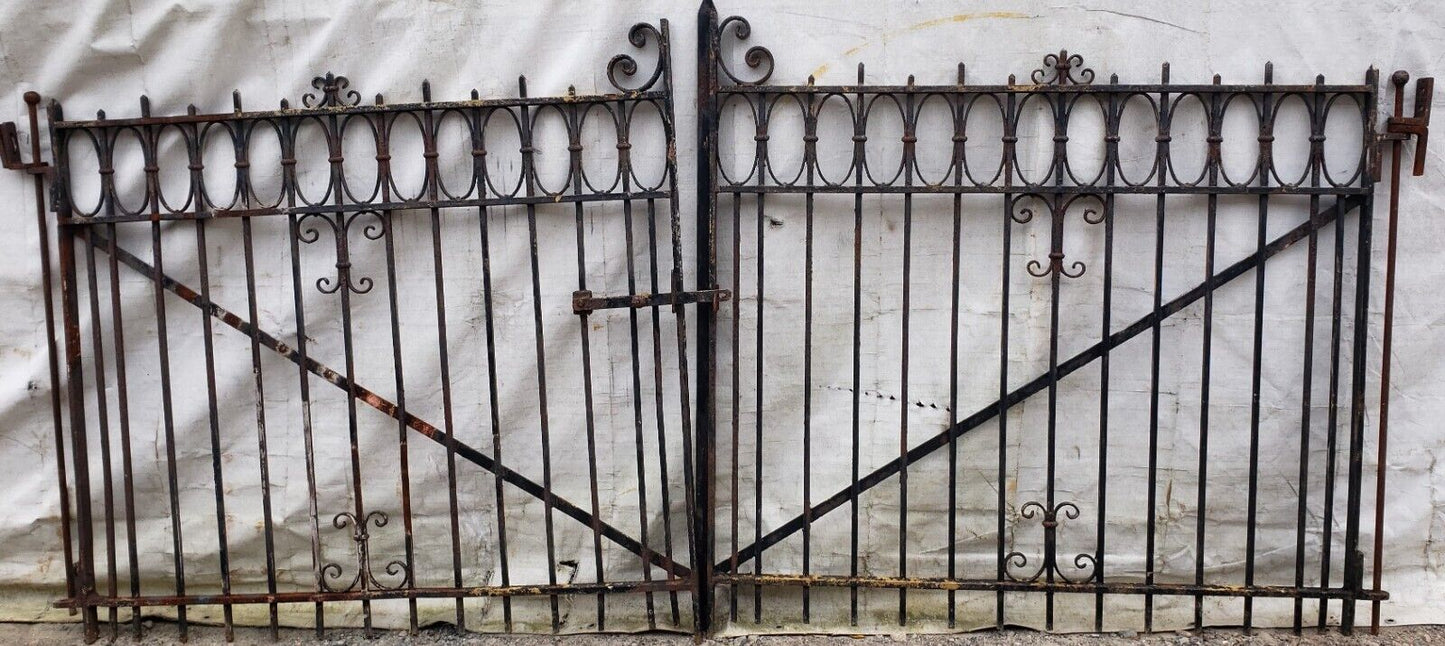 Pair of Ornate Wrought Iron Gates 110 1/2” Wide x 49 1/2" Tall GA9478