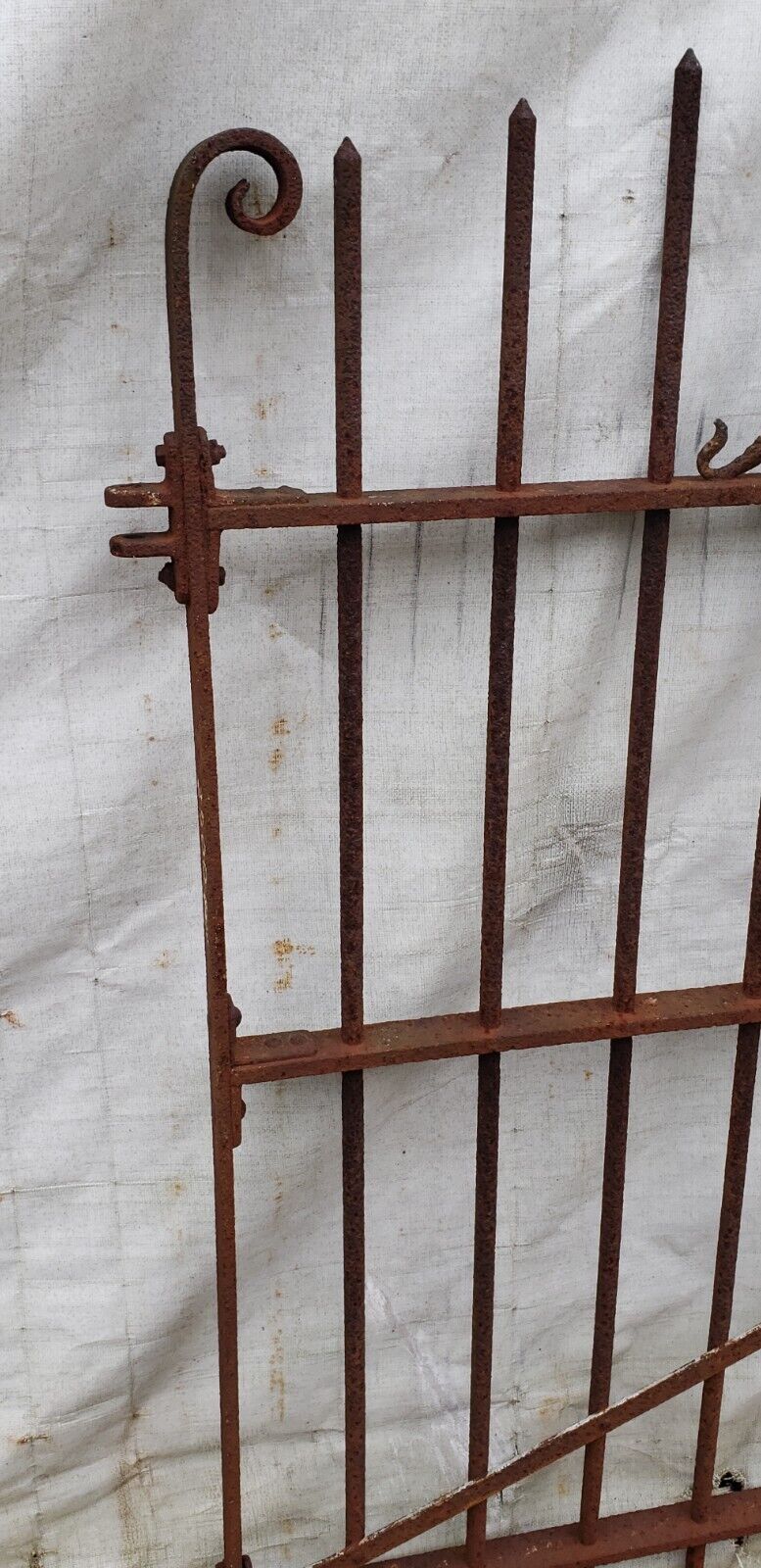 Pair of Ornate Wrought Iron Gates 44 1/2" x 58" GA9477